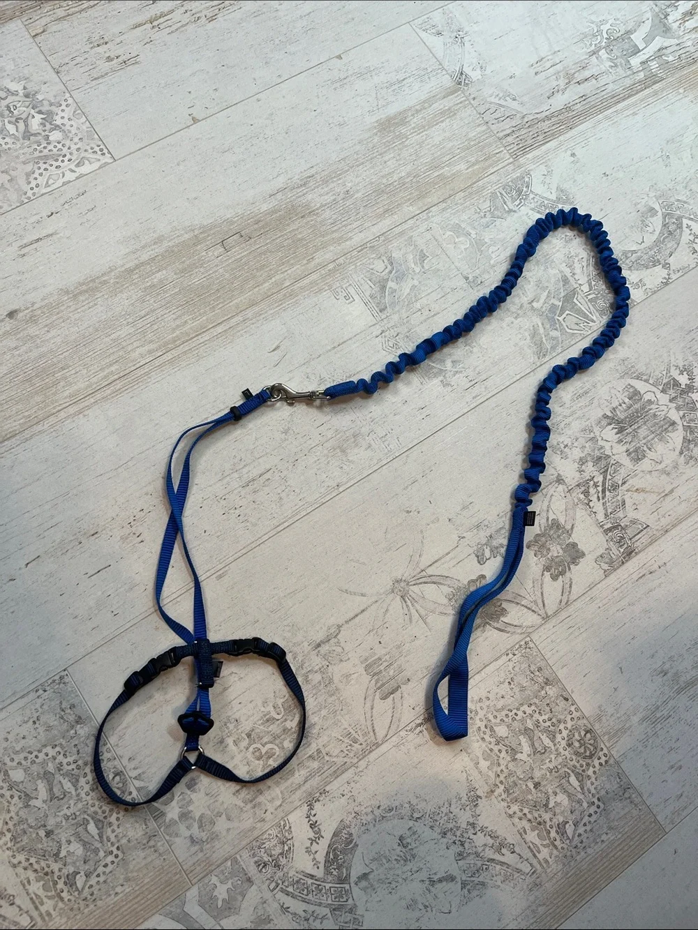 Petsafe Blue Cat Harness and Leash Size Large